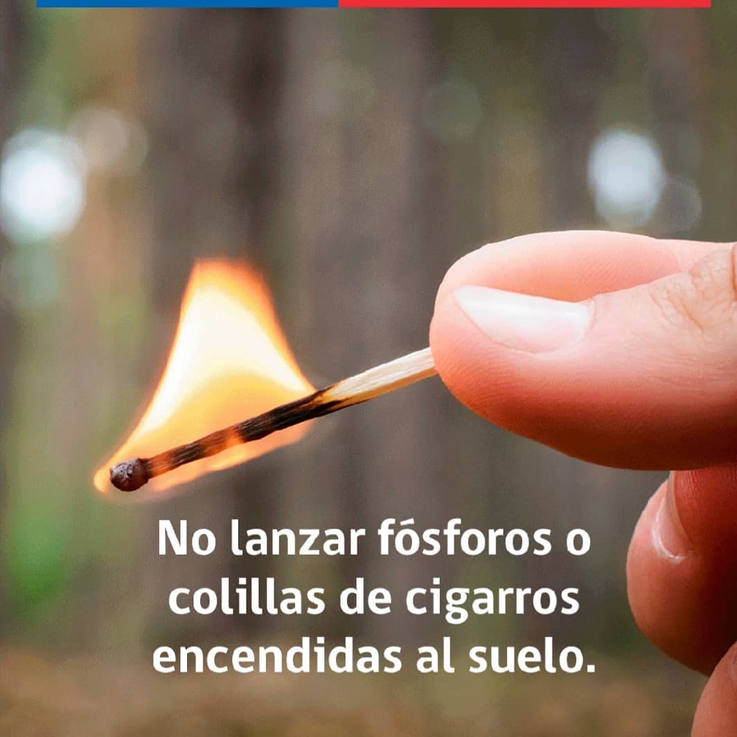 Senapred's tweet photo. #YoMePreparo No tires colillas en lugares que puedan provocar un incendio. Cuidar nuestros bosques es tarea de todos. Infórmate en:  https://t.co/Mm2Q8LYUZt https://t.co/YoAmeaZdiX