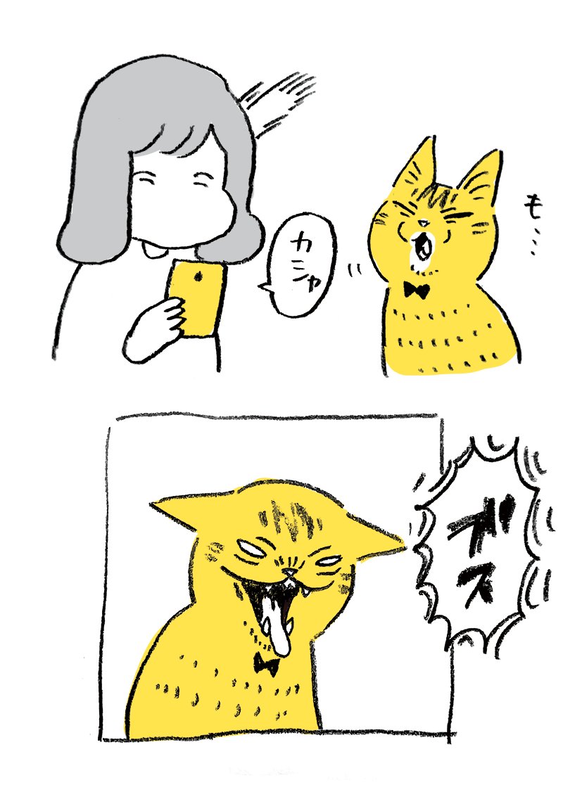 ねこのあくびって何であんなに可愛いんですかね…
やっちゃんは④で小さくムチャッと鳴るので見てなくてもあくびしたんだなってわかります(子猫の頃はカフッて鳴ってた) 