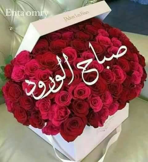 الستات الحلوة اللي شايفه علي تويتر
قلبي الضعيف لا يتحمل💔😘😍