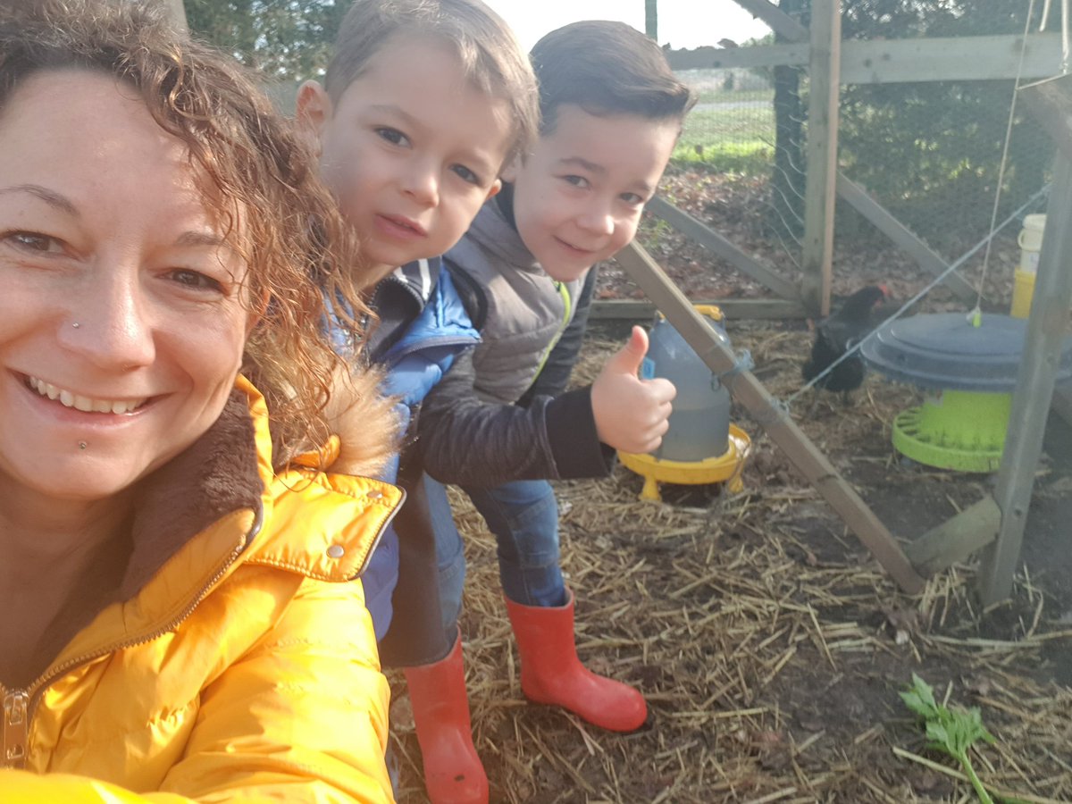 LGauharou's tweet photo. Les poules se portent bien. https://t.co/xNMb0DanDe