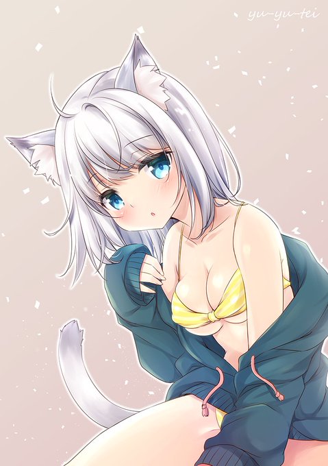 ラグドールイメージのねこちゃん🐱 