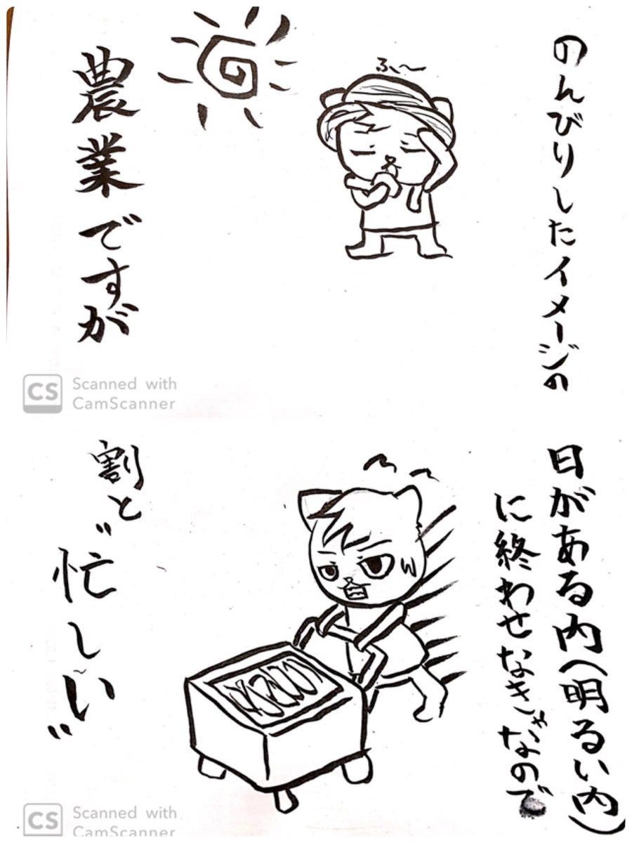 農業漫画