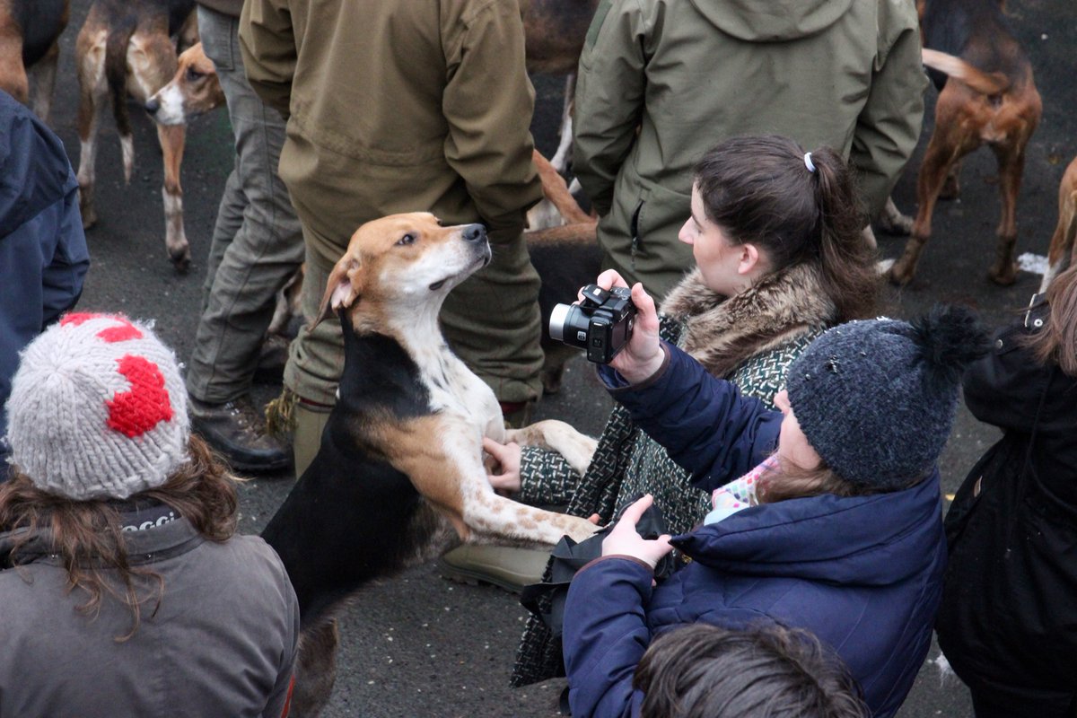 Edmund W. tweet media