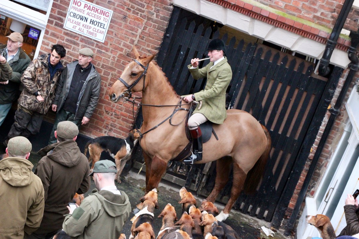 Edmund W. tweet media