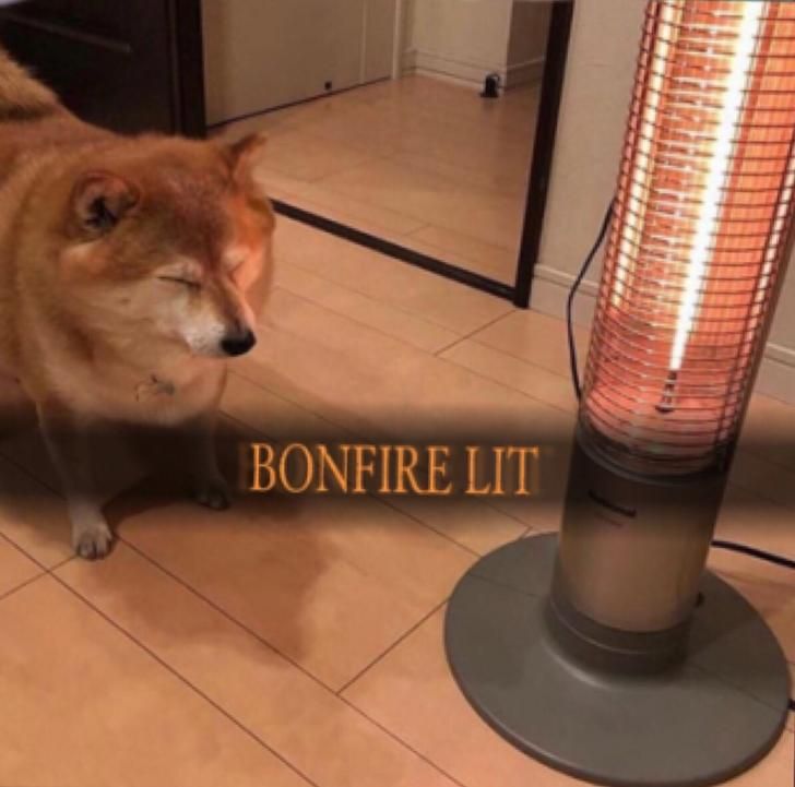 Djostikk tweet media