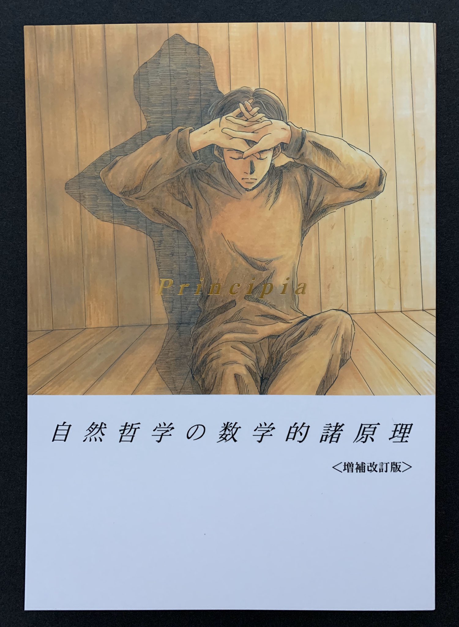 小野不由美ゲスト ゴーストハント同人誌 Principia自然哲学の数学的諸原理 小野不由美ゲスト ゴーストハント同人誌 Principia自然哲学の