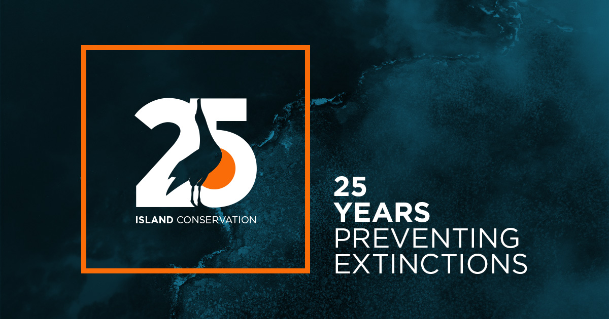 IslandConserv's tweet photo. This year, Island Conservation celebrated 25 years of #preventingextinctions and continued our legacy of innovation and partnering for success. #conservation #invasivespecies #NoExtinctions https://t.co/a73J6kriBD https://t.co/sCKhSdC4QR