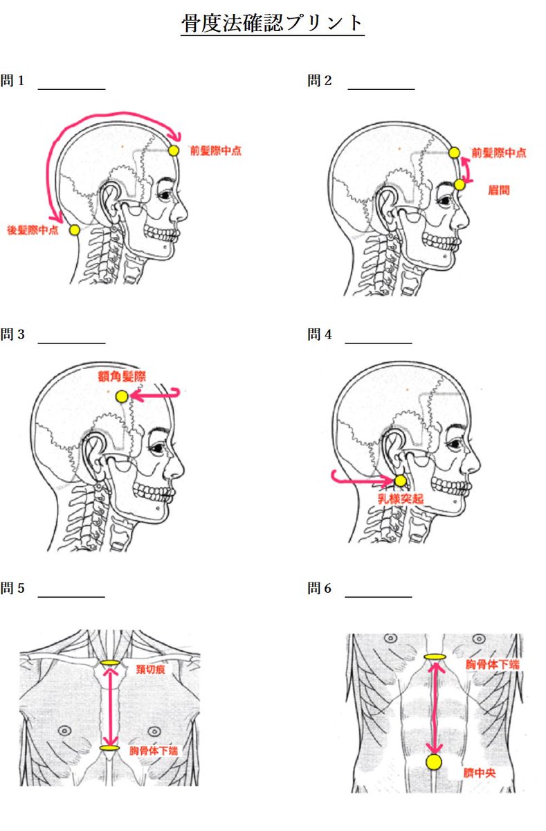 Images of 骨度法 JapaneseClass.jp