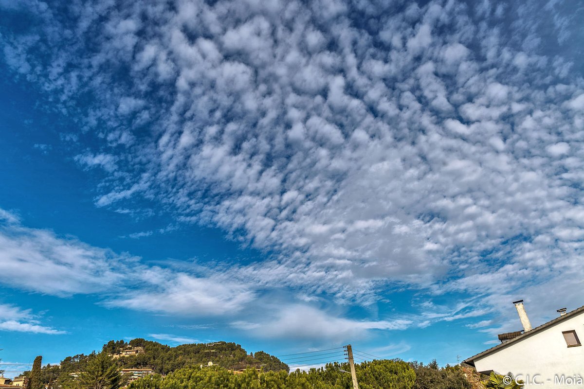 MeteoMoia's tweet photo. Dies molt #Humits per #Moià #Moianès
@meteocat #324eltemps @bcnmoltmes @catexperience
@AlfredRPico @ARAmeteo @meteorac1 @meteo8aldia
@alcantara_alb @rbartolisala @gemmapuigf @SoniaPapell
@eloicordomi @Cat_Meteo @MeteoMauri https://t.co/G57XATNJZY