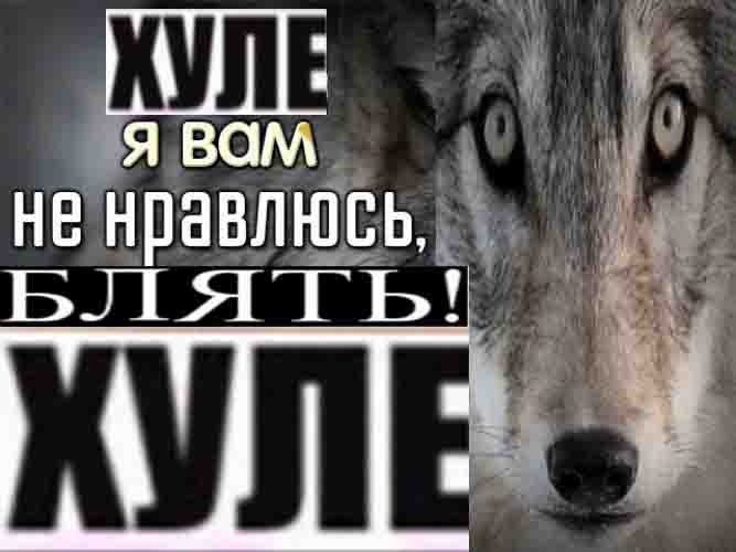 Сопроматичка не поставила сегодня зачёт