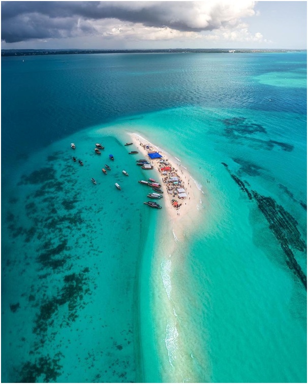 TheBigGameTours's tweet photo. Such a special moment...
Zanzibar is an archipelago, which means it is not a single island but consists of many different islands.
#Zanzibarisland #zanzibarbeach #zanzibarhotel #visitzanzibar #traveljournal #traveldestination #travelafrica #travelandexplore #beachview #beachbreak https://t.co/55c0RYxo7e