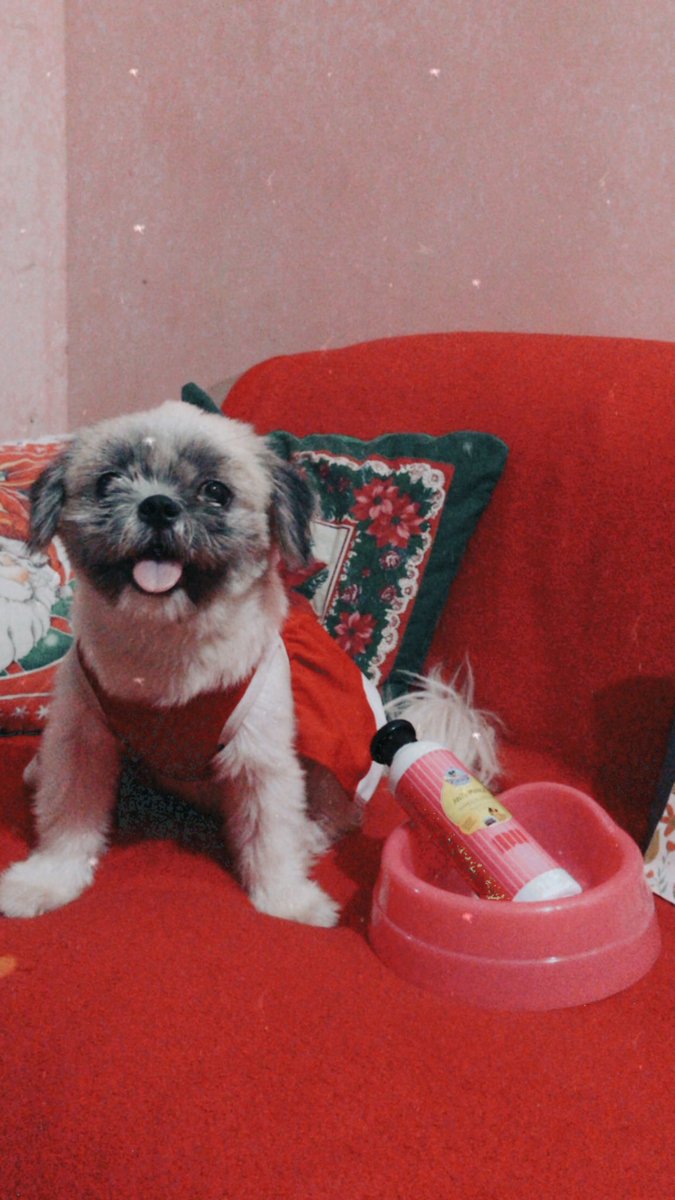 lopezn_been2's tweet photo. Merry Christmas and happy New Year to everyone! 🎄 https://t.co/cf8YVLht1a
