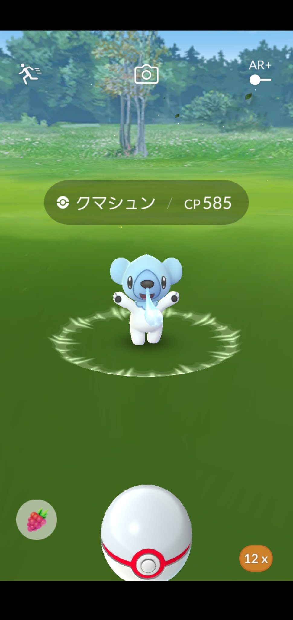 Uzivatel Amazinghisa Na Twitteru 今日のポケモンgo活動1 レイドはクマシュン なかなか野生で高個体来ませんでしたが やっとで そして 進化 登録 相棒のルカリオをスナップしたら こんなに小さく 可愛い ポケモンgo クマシュン