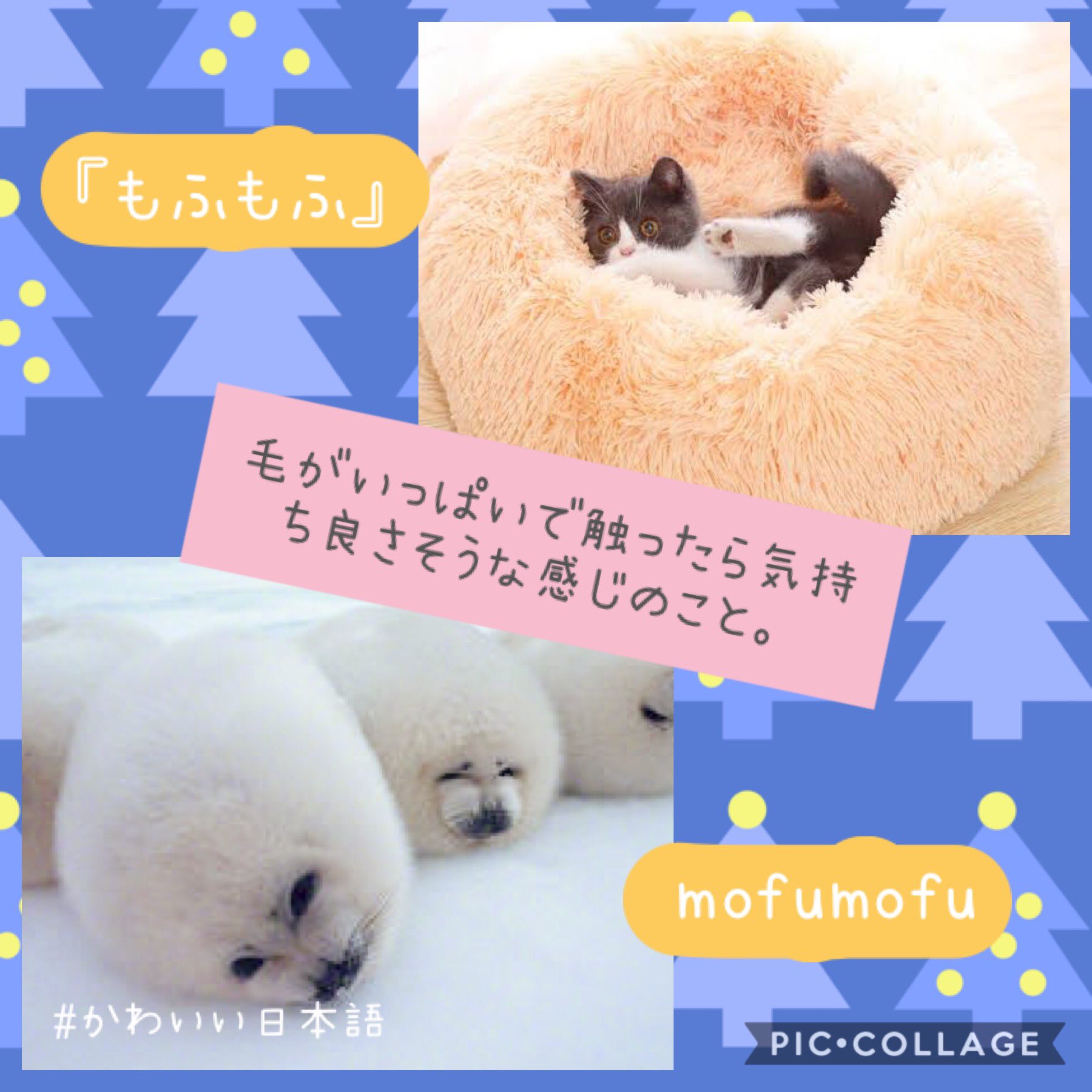 めがびすこ かわいい日本語 01 もふもふ 動物などの毛がいっぱいで 触ったら気持ち良さそうな感じのこと 例文 あざらしの赤ちゃん めっちゃもふもふ かわいい日本語 T Co Bonvv17bh4 Twitter