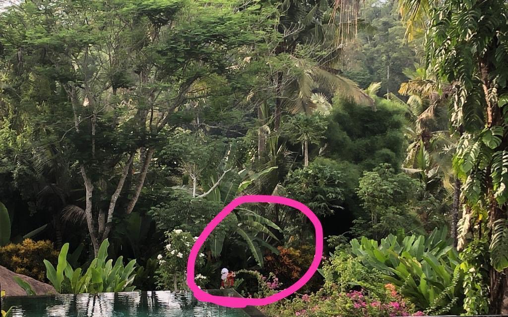 zoechurch's tweet photo. @chrissyteigen Bali number..not quite as impressive as the snow :) https://t.co/DOWGLan33P