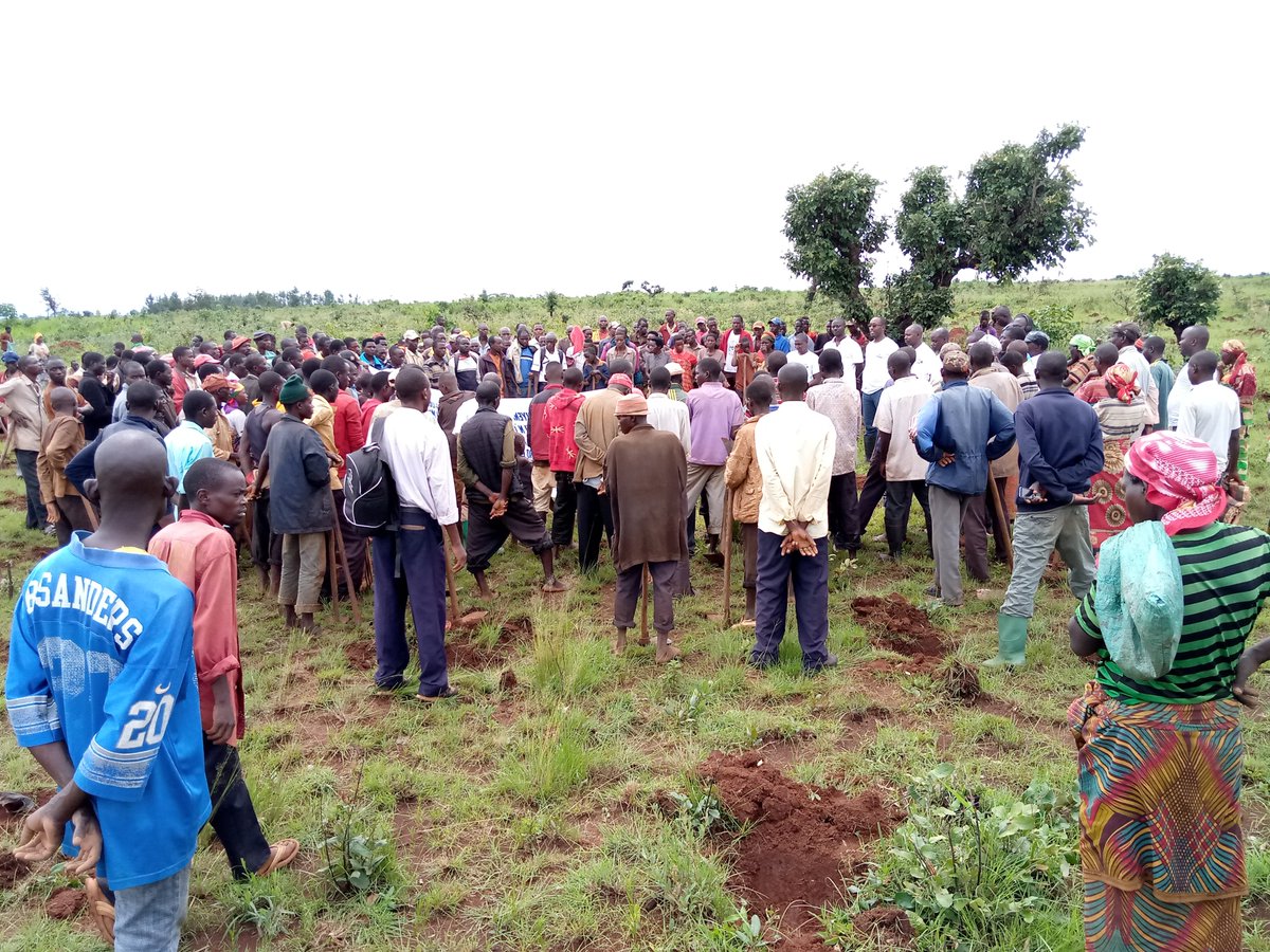 hakizarashid's tweet photo. #Burundi Plantation de 2050plants de #callitris plantés ds le cadre du projet "Ewe Burundi urambaye" ce jeudi, le 26/12/2019.Le Directeur du #BPEAE de la
@MuyingaProvince
et l'Administrateur Communal #buhinyuza se sont associés avec la population de la colline #Nyaruhengeri https://t.co/Lumx2vUYPk