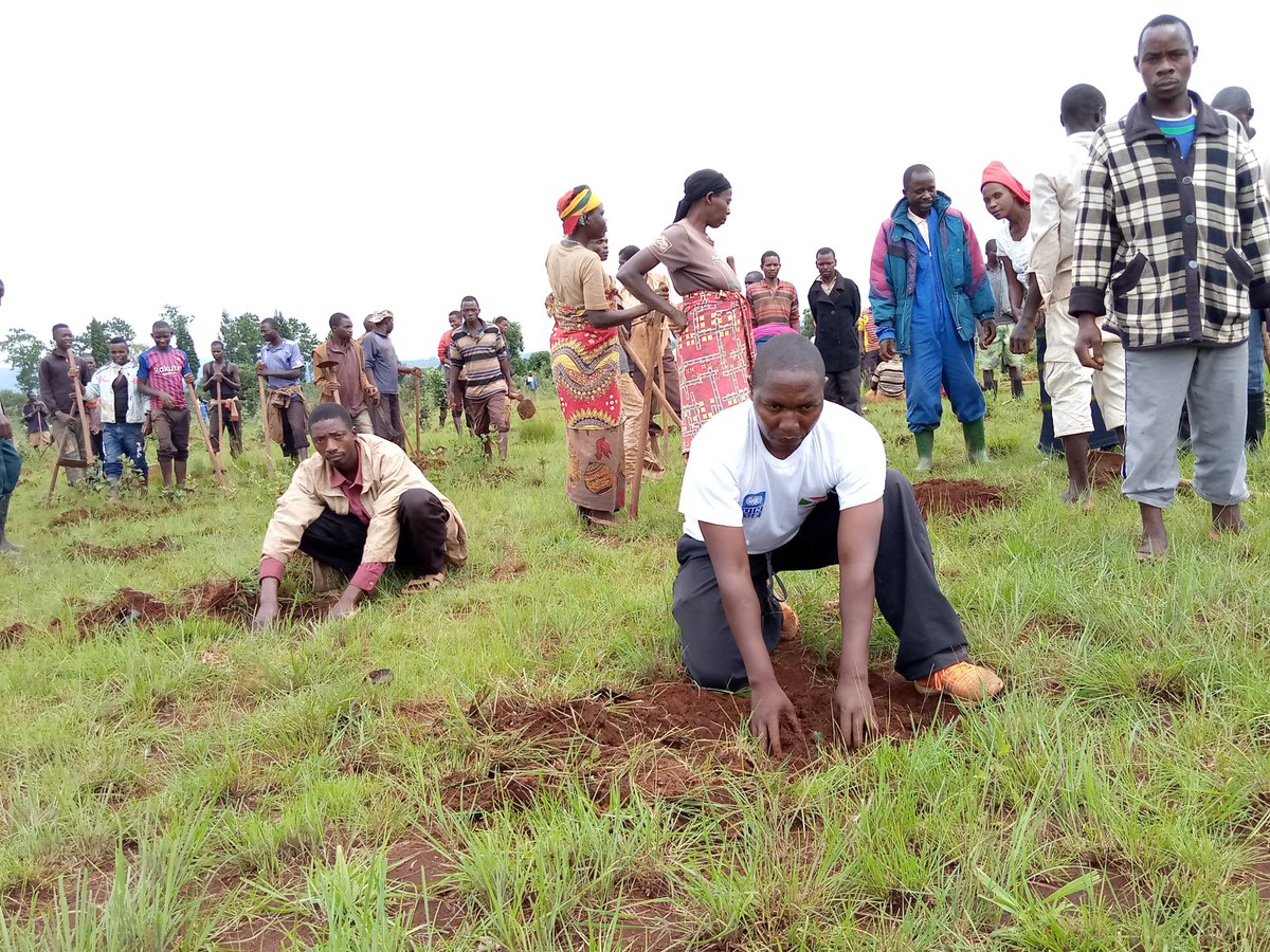 hakizarashid's tweet photo. #Burundi Plantation de 2050plants de #callitris plantés ds le cadre du projet "Ewe Burundi urambaye" ce jeudi, le 26/12/2019.Le Directeur du #BPEAE de la
@MuyingaProvince
et l'Administrateur Communal #buhinyuza se sont associés avec la population de la colline #Nyaruhengeri https://t.co/Lumx2vUYPk