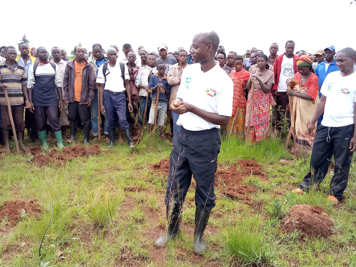 hakizarashid's tweet photo. #Burundi Plantation de 2050plants de #callitris plantés ds le cadre du projet "Ewe Burundi urambaye" ce jeudi, le 26/12/2019.Le Directeur du #BPEAE de la
@MuyingaProvince
et l'Administrateur Communal #buhinyuza se sont associés avec la population de la colline #Nyaruhengeri https://t.co/Lumx2vUYPk