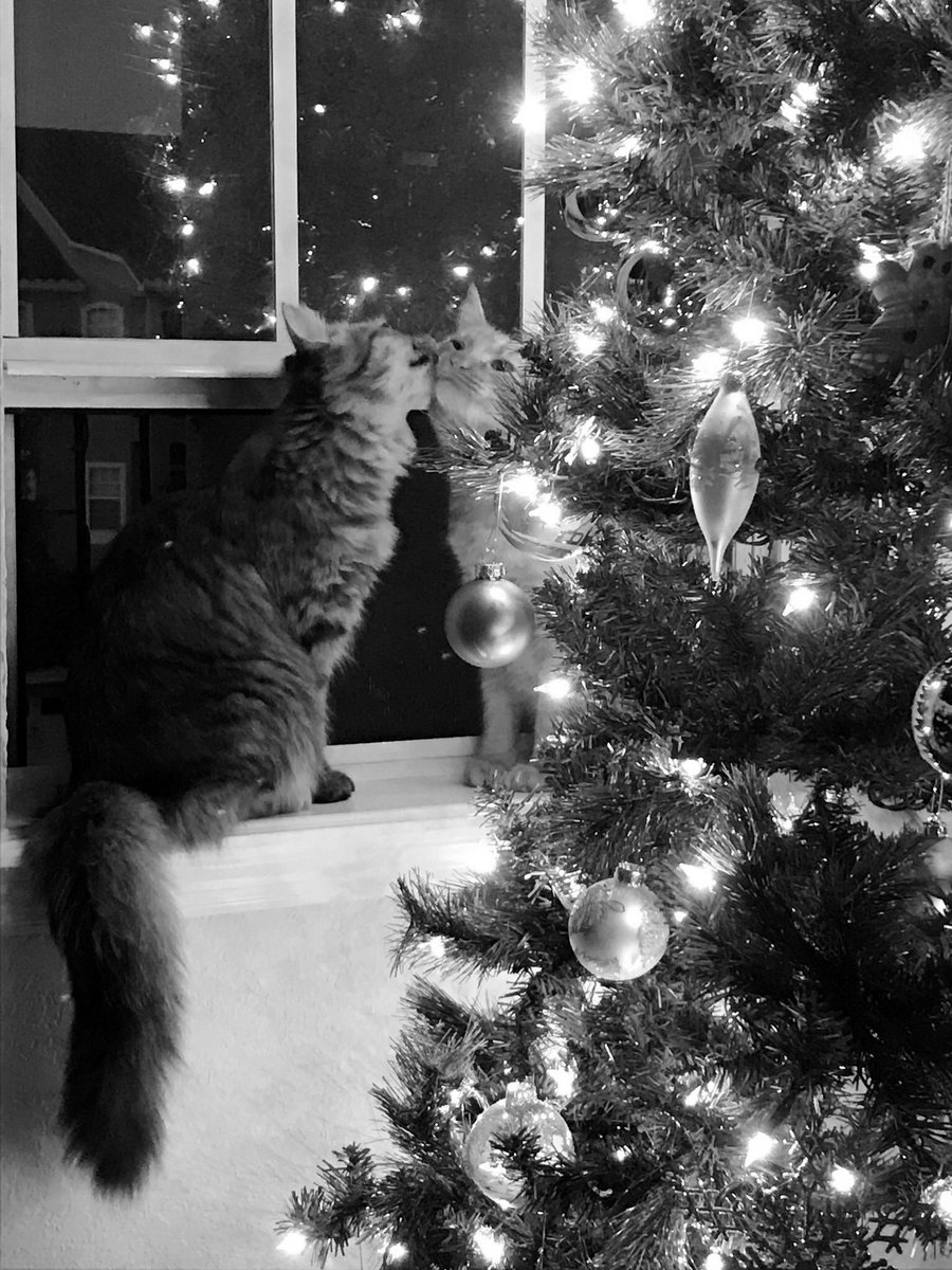 10/10 siyah beyaz (@ononsiyahbeyaz) on Twitter photo 