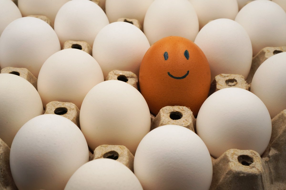 Wincorp_Intl's tweet photo. Christmas may have passed, but it’s never too late to spread joy to all those around you. #WincorpInternational #WincorpEggs #HatchingYourFuture https://t.co/fRPfXmvM1t