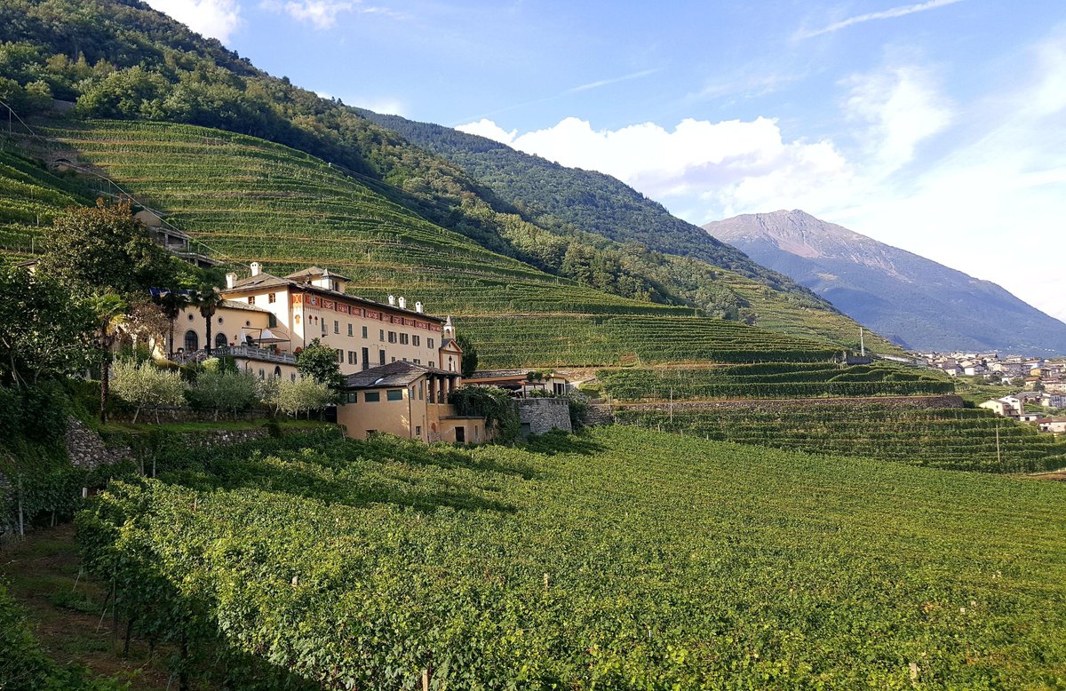 BlueRoadTouring's tweet photo. How beautiful is this photo of #CantinaLaGatta from our #BLRTTourLeader, Cate Dossena?

"The signature wine here is called Sforzato, the "effort" wine, because all the grapes are hand picked from the steep terraces. Also it is a very strong red with 15% alcohol!" https://t.co/zG6ymsF0iT