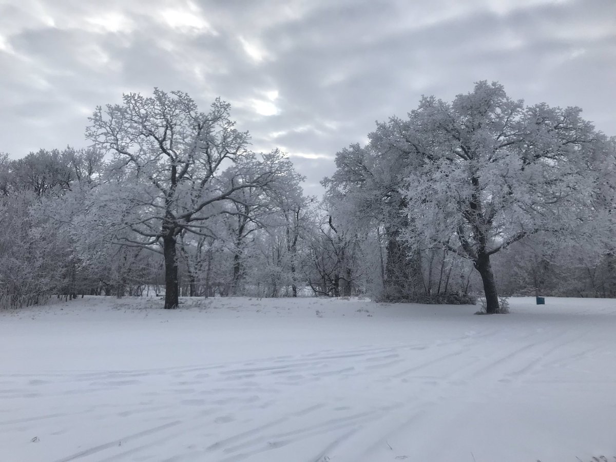 MarkJBrenner1's tweet photo. What a beautiful day to get out and x-country ski to appreciate God’s creation! https://t.co/pSwDreEmqn