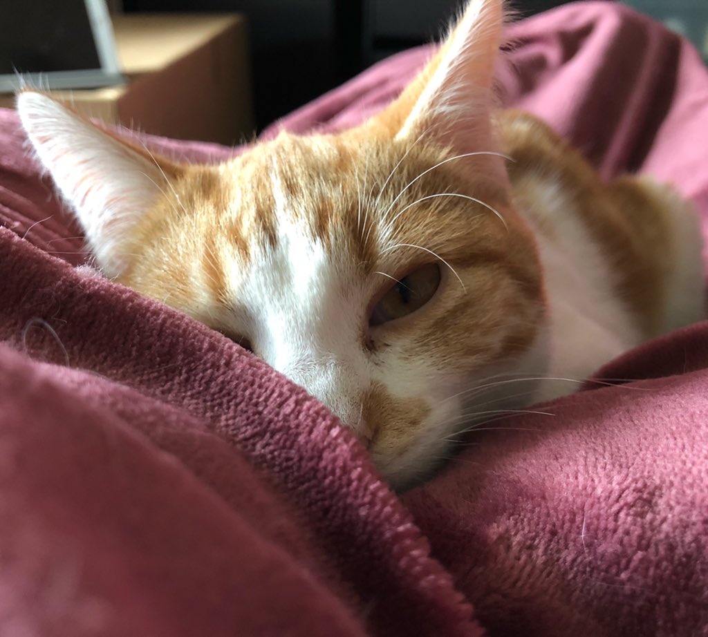 Müde Weihnachten 🥱