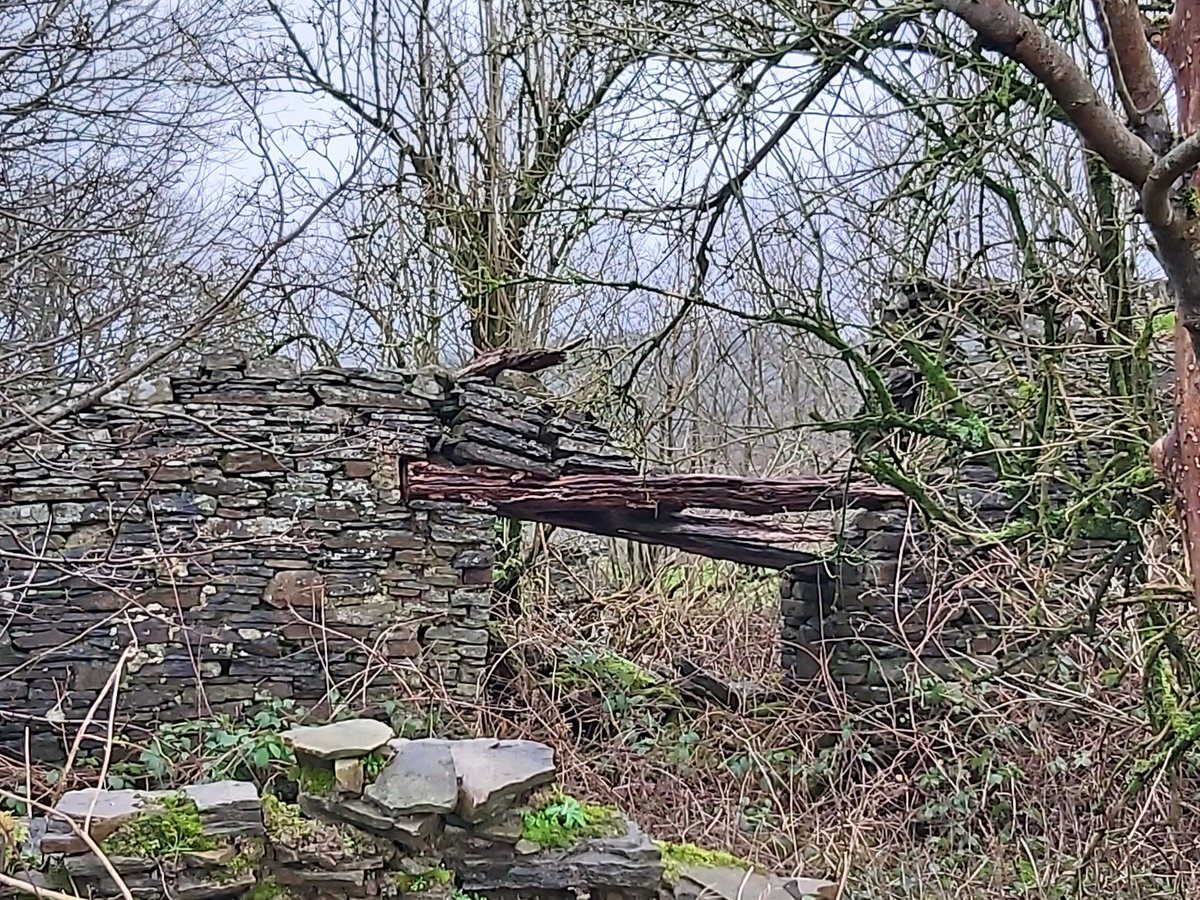 ToursofWales's tweet photo. Adfeilion hen ffermdy, #GelliGaled, uwchlaw #CwmDulais. Bu #HywelHarris yn pregethu yma yn y ddeunawfed ganrif. Golygfeydd godidog. https://t.co/zVpH2I6dtv