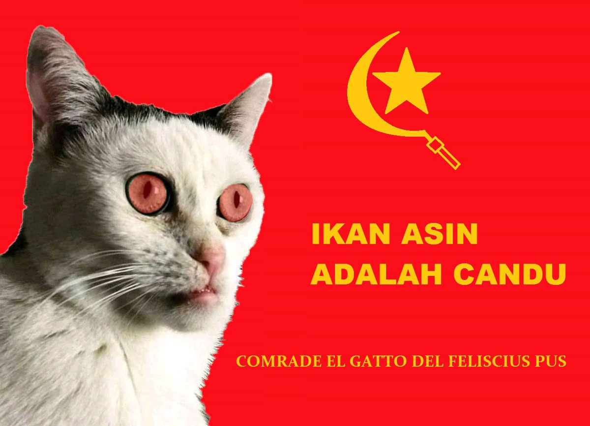 Indonesia suram tweet media