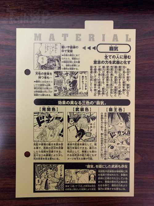 News One Piece Vivre Card Databook Page 5 Worstgen