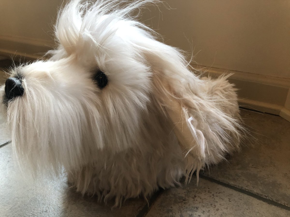 PSUROCKY's tweet photo. Loving my CuddleClones slippers!  @CuddleClones https://t.co/4IkzOdQFwT