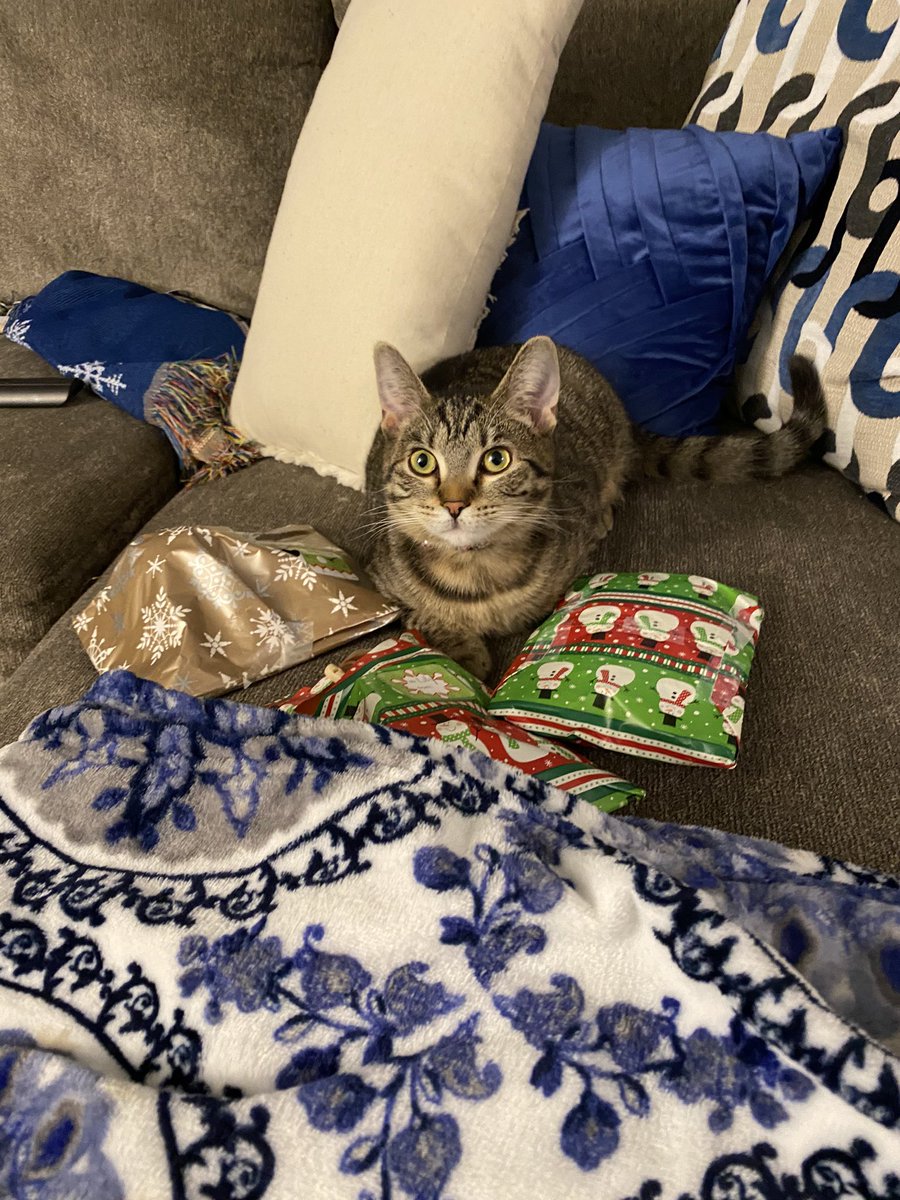 Lily Rose had such a wonderful first Christmas 💙🤍💙🤍 I hope everyone had a happy day full of love and great food.