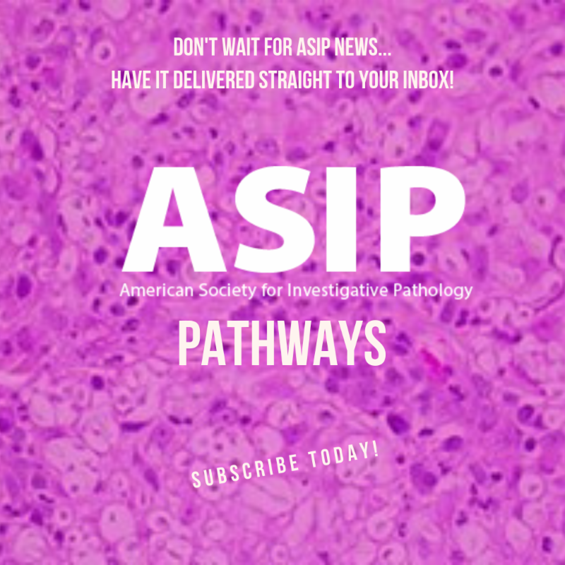 ASIPath's tweet photo. #ThursdayTips #PathNews ASIP NextGen has moved! Did you know that you could receive ASIP PathWays News instant updates straight to you inbox? Subscribe Today! #MoreThanMembership #PathWays #ASIP https://t.co/B9w5DLXOOY https://t.co/aAqaraBsrr
