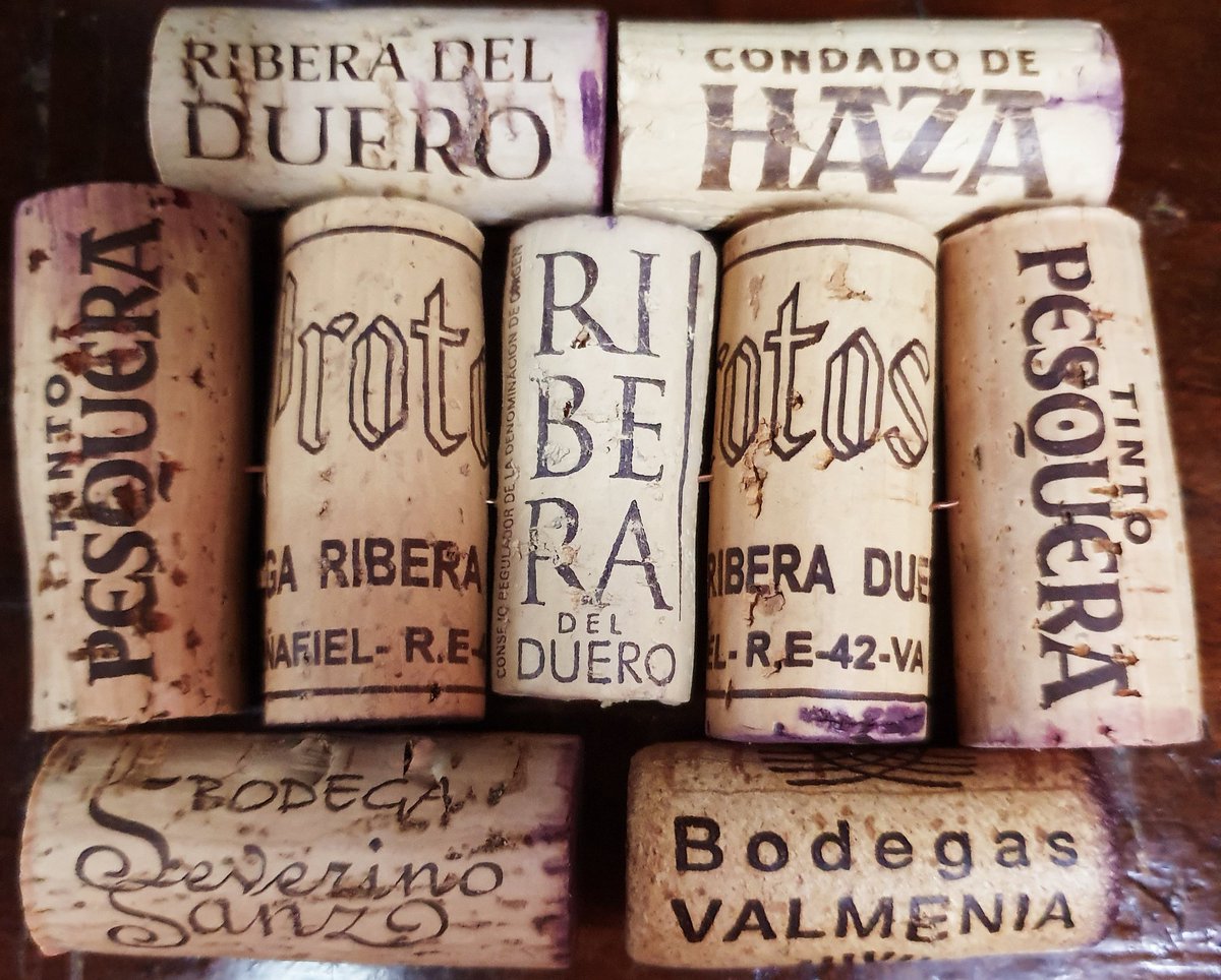 Víva el Vino
<a href="/DORibera/">Ribera Del Duero</a>