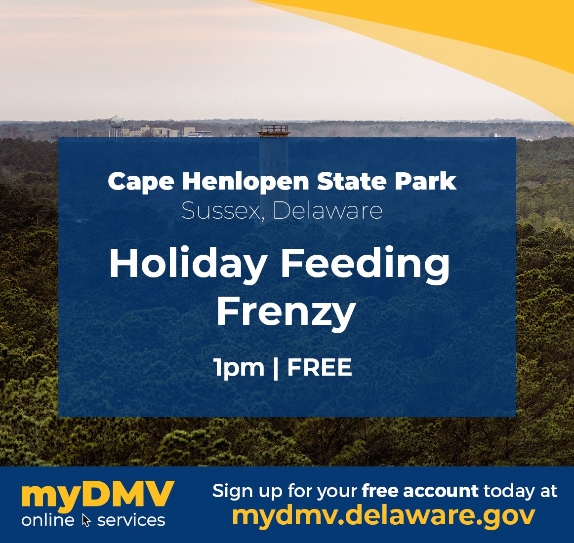DelawareDMV's tweet photo. You can complete your myDMV service online now, and then go to the @DEStateParks Holiday Feeding Frenzy at Cape Henlopen State Park! Visit https://t.co/7ax9WpfXTz and register your account today. #mytime #myway #myDMV For more holiday DE State Parks fun: https://t.co/WQT6rrJfqE https://t.co/1Si95cSimJ