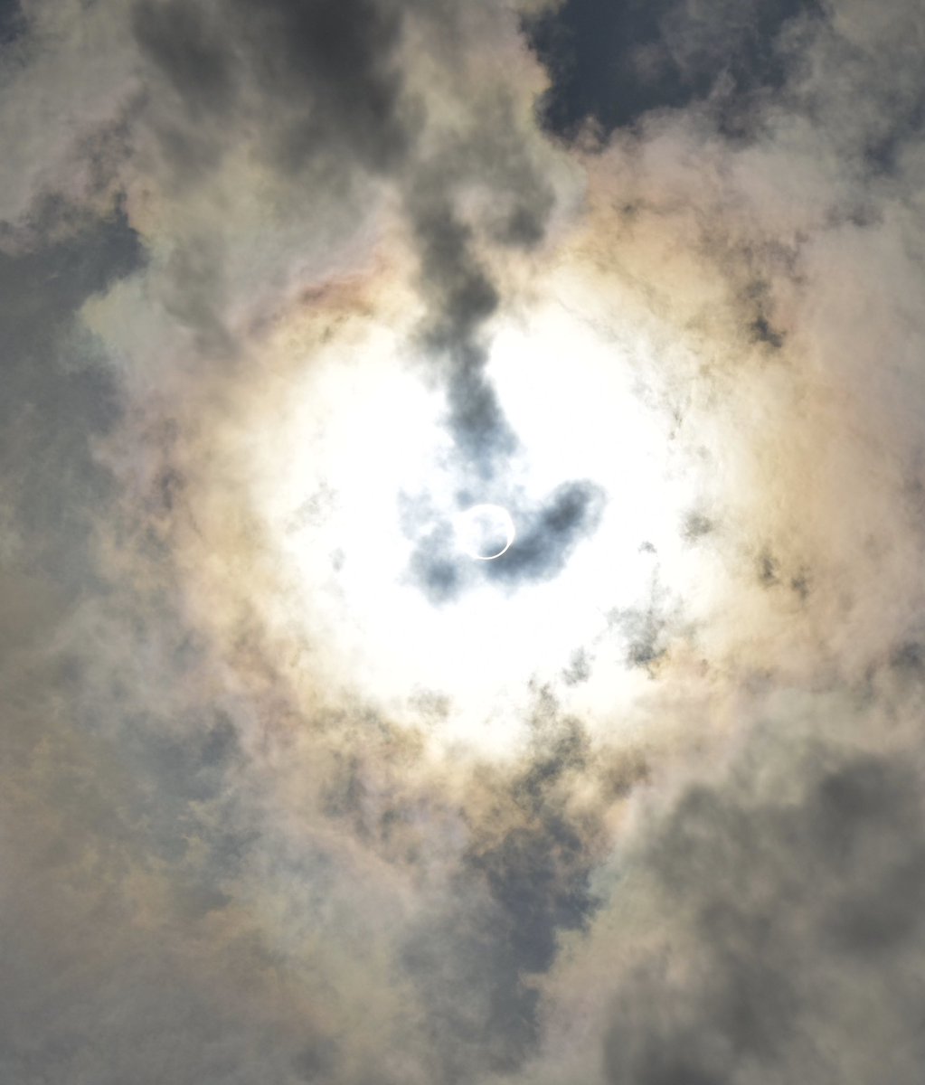 Joy Wu, MD, PhD tweet media