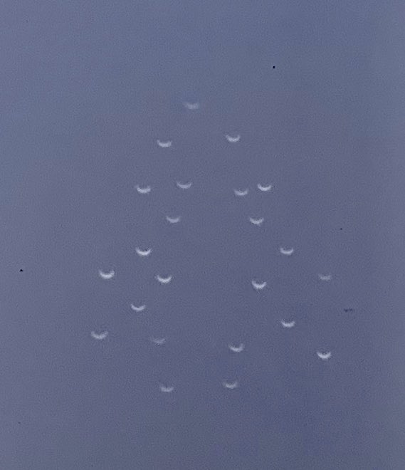 Joy Wu, MD, PhD tweet media