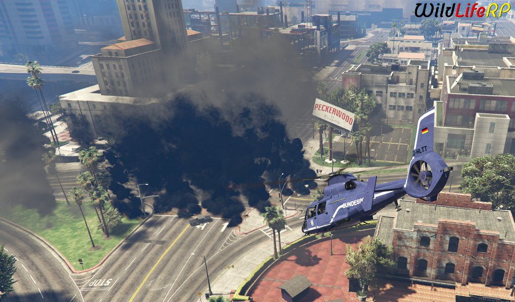 WildLifeRPcom's tweet photo. Feuer in Los Santos? Müssen wir jetzt Grisu rufen? Oder haben wir tapfere Helden, die das Feuer löschen werden? 👩‍🚒👨‍🚒 Die Feuerwache hält bald Einzug, wir werden bereit sein!https://t.co/TXiDY9x8g3 #gtarp #roleplaying #roleplay #multiplayer #german #streaming #fivem #wildliferpcom https://t.co/5MeqnG9esa