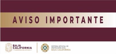 Ver imagen en Twitter