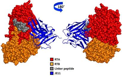 OPCW_ST's tweet photo. Neutralization &amp; binding activity of a human single-chain antibody to #ricin toxin https://t.co/q11dSN0xEH https://t.co/e19diY3gsc
