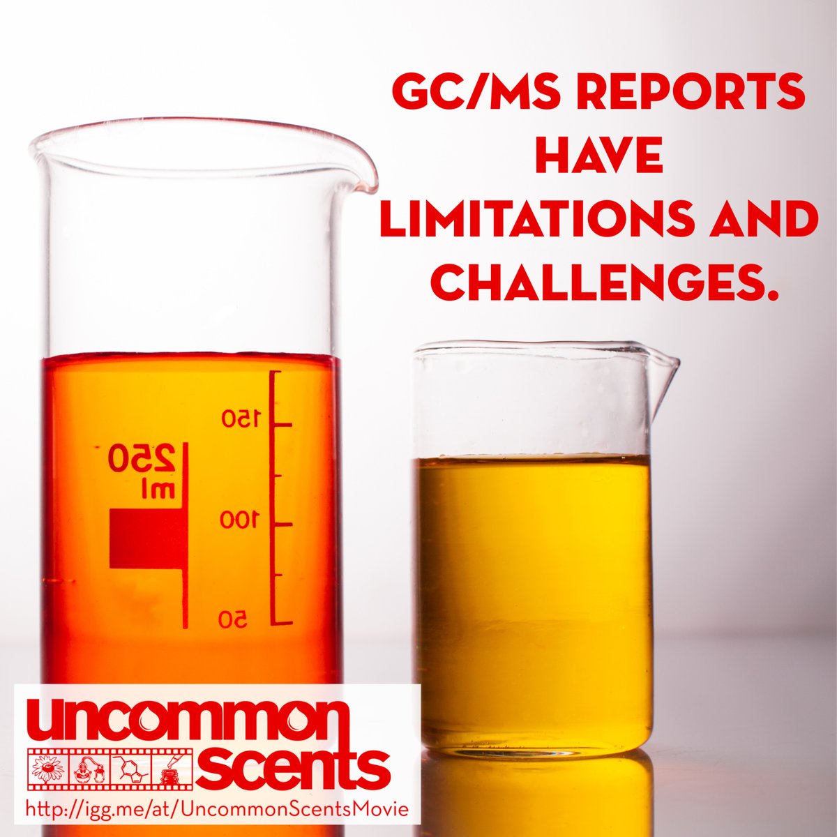 Uncommon Scents tweet media