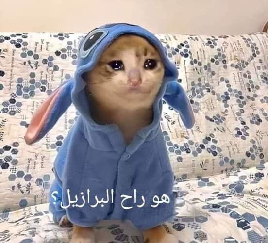 egymeme11's tweet photo. لما يكون عندك فرح مهم وتقول للحلاق عايز اعمل قصة رونالدو ..
- ولما يخلص يقولك مش ناقصك غير تيشرت البرازيل https://t.co/YgsHYzDSqP