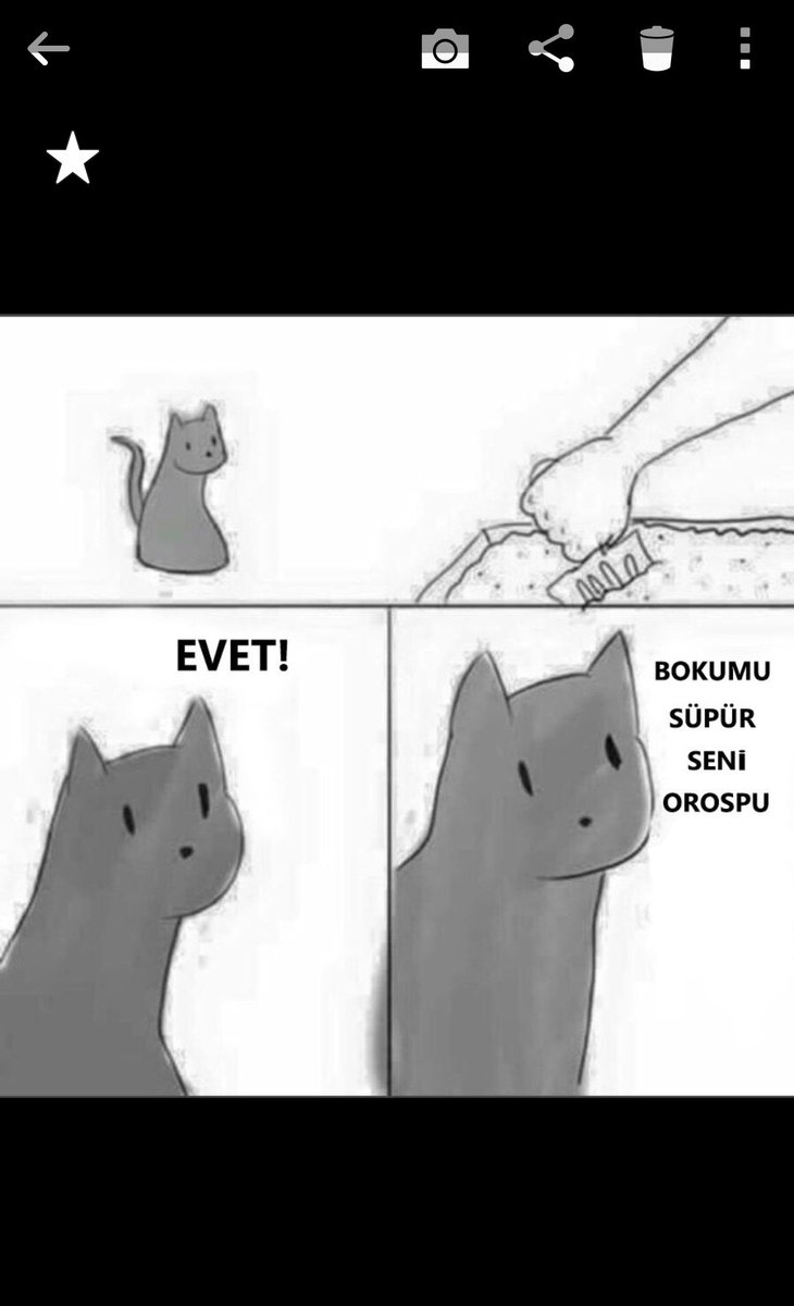 Alex ve <a href="/ozantasar01/">Ozan Taşar</a>