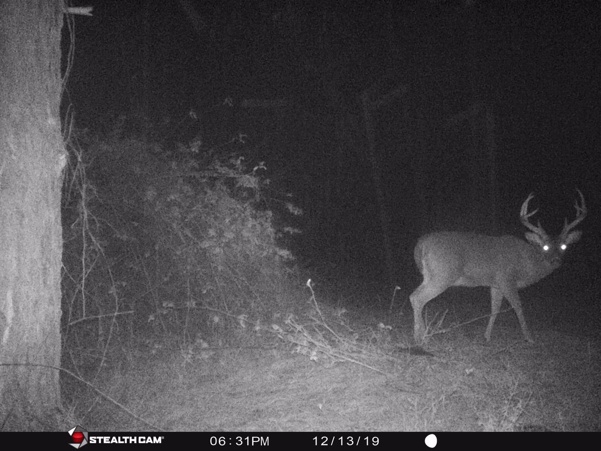 He’s gonna look good on the wall.