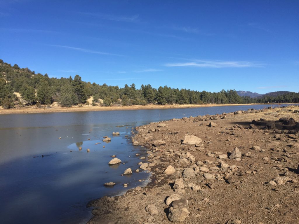 GoFishAZ's tweet image. Winter Fishing Forecast: North Central - fishaz.azgfd.com/fishingforecas…