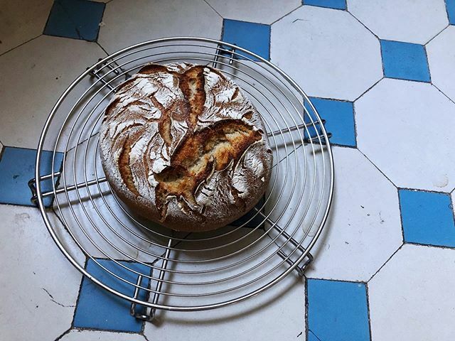 Weather_Fairy's tweet photo. Jeden Tag ein Brot, hatte ich mir für diese Woche vorgenommen. Nach dem Kochmarathon gestern, hab ich dann heute doch spontan eine Backpause eingelegt. Diese Schönheit hier besteht nur aus Mehl, Wasser, Kartoffeln, Salz und Liebe! 😁 Hergestellt mit einem gerade noch so geret… https://t.co/lIFYPZvtyZ
