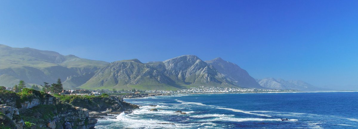 iam_immigration's tweet photo. Many visitors to Cape Town do a day trip to Hermanus to see the Southern Right Whales play in the bay.
But, Hermanus has so much more to offer tourists. For example, cage diving with Great White Sharks!
https://t.co/lyZBSsbMyU
@noxrentals #hermanus #whalewhatching https://t.co/dosH9YHt7u