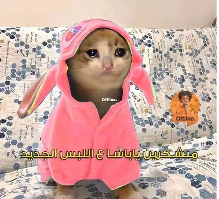 nagar2501's tweet photo. مش معقول الترند كلهه يبقي بنفس الطقمم... https://t.co/hA0H4jBNf0