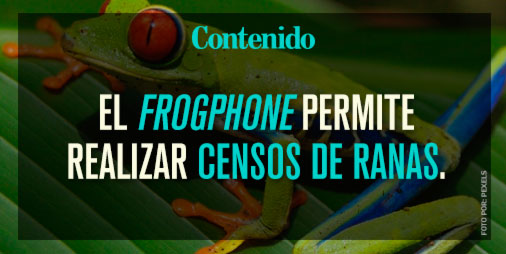 rContenido's tweet photo. #Curiosidades
.
.
.
Te contamos más sobre el: https://t.co/bK9D04fokt
.
.
.
#Ranas
#FrogPhone https://t.co/EVPUB1uj80