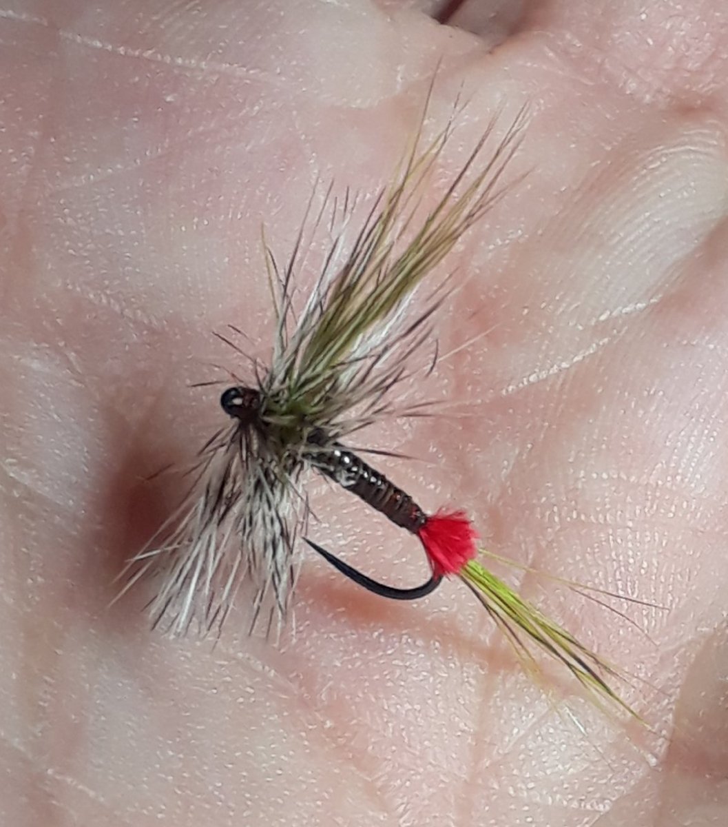 tyingflies's tweet photo. Dry or die!
#furandfeathers #flyfishing #flytying #troutflies https://t.co/QNLNrRixyZ